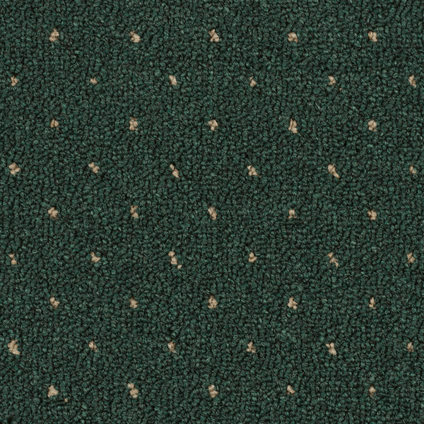 Summer Meadow.jpg